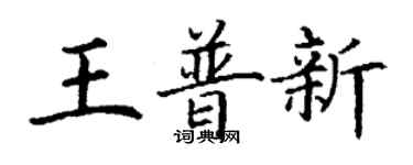 丁谦王普新楷书个性签名怎么写