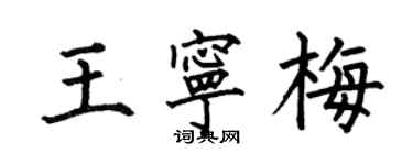 何伯昌王宁梅楷书个性签名怎么写