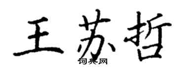 丁谦王苏哲楷书个性签名怎么写