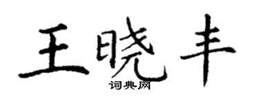 丁谦王晓丰楷书个性签名怎么写
