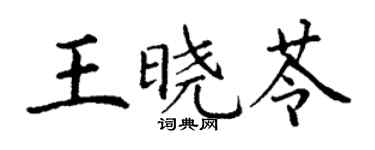 丁谦王晓苓楷书个性签名怎么写