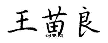 丁谦王苗良楷书个性签名怎么写