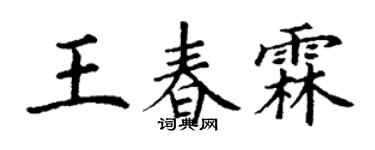 丁谦王春霖楷书个性签名怎么写