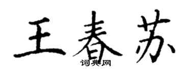 丁谦王春苏楷书个性签名怎么写