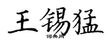 丁谦王锡猛楷书个性签名怎么写