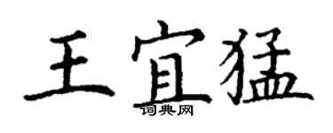丁谦王宜猛楷书个性签名怎么写