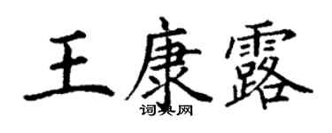 丁谦王康露楷书个性签名怎么写