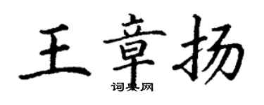 丁谦王章扬楷书个性签名怎么写