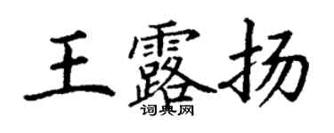 丁谦王露扬楷书个性签名怎么写