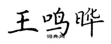 丁谦王鸣晔楷书个性签名怎么写