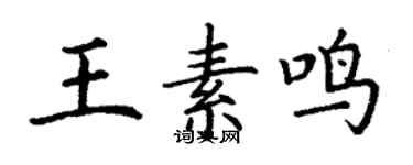 丁谦王素鸣楷书个性签名怎么写