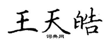 丁谦王天皓楷书个性签名怎么写