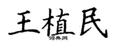 丁谦王植民楷书个性签名怎么写