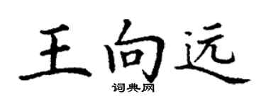 丁谦王向远楷书个性签名怎么写