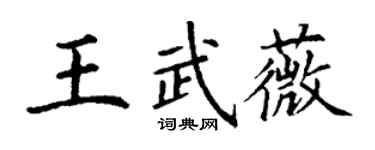 丁谦王武薇楷书个性签名怎么写