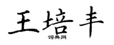 丁谦王培丰楷书个性签名怎么写