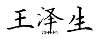 丁谦王泽生楷书个性签名怎么写