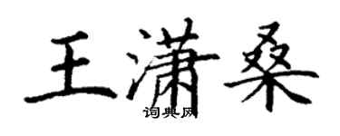 丁谦王潇桑楷书个性签名怎么写
