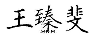 丁谦王臻斐楷书个性签名怎么写