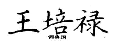 丁谦王培禄楷书个性签名怎么写