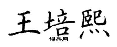 丁谦王培熙楷书个性签名怎么写