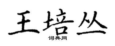 丁谦王培丛楷书个性签名怎么写