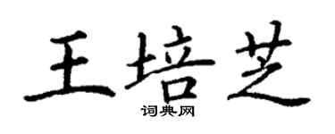 丁谦王培芝楷书个性签名怎么写