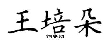 丁谦王培朵楷书个性签名怎么写