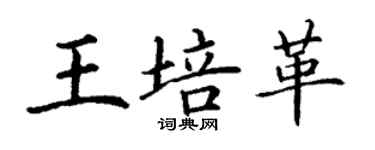 丁谦王培革楷书个性签名怎么写