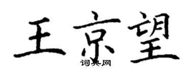 丁谦王京望楷书个性签名怎么写