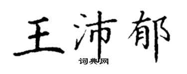 丁谦王沛郁楷书个性签名怎么写