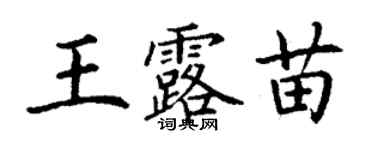 丁谦王露苗楷书个性签名怎么写