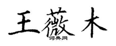 丁谦王薇木楷书个性签名怎么写