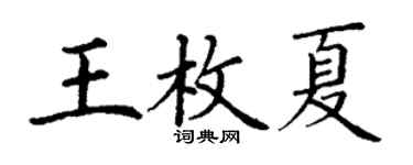 丁谦王枚夏楷书个性签名怎么写