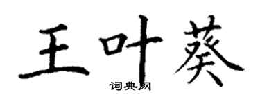 丁谦王叶葵楷书个性签名怎么写