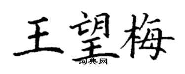 丁谦王望梅楷书个性签名怎么写