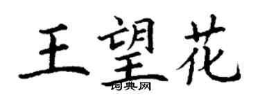 丁谦王望花楷书个性签名怎么写