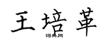 何伯昌王培革楷书个性签名怎么写