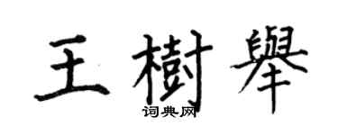 何伯昌王树举楷书个性签名怎么写