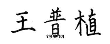 何伯昌王普植楷书个性签名怎么写