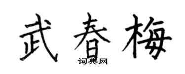何伯昌武春梅楷书个性签名怎么写