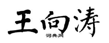 翁闿运王向涛楷书个性签名怎么写