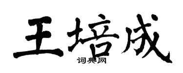 翁闿运王培成楷书个性签名怎么写