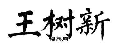 翁闿运王树新楷书个性签名怎么写