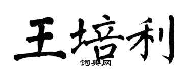 翁闿运王培利楷书个性签名怎么写
