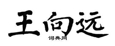 翁闿运王向远楷书个性签名怎么写