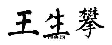 翁闿运王生攀楷书个性签名怎么写