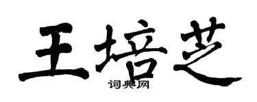 翁闿运王培芝楷书个性签名怎么写
