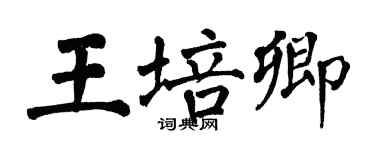 翁闿运王培卿楷书个性签名怎么写