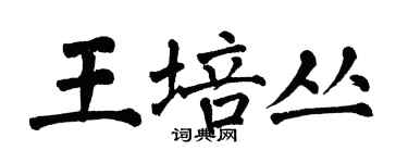 翁闿运王培丛楷书个性签名怎么写